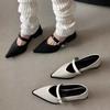 Summer Women Shoes  New Pointed Thick Heels for Women Retro Buckle Leather Shoes for Women Zapatos De Mujer