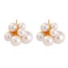Gentle Temperament Flower Cluster Size Bead Ball Stud Earrings Female Korean Version Light Luxury Retro Fashion Personalized Titanium Steel Earrings