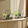 Ultra Clear Round Fish Bowl Plastic Removable Desktop Fish Tank Ultra Clear Viewing Tank Small Aquarium Tabletop Ornament