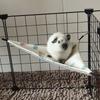 Ice Silk Cooling Hanging Bed Skin-Friendly Guinea Pig Nest Pet Hammock Nest  Cage Accessory