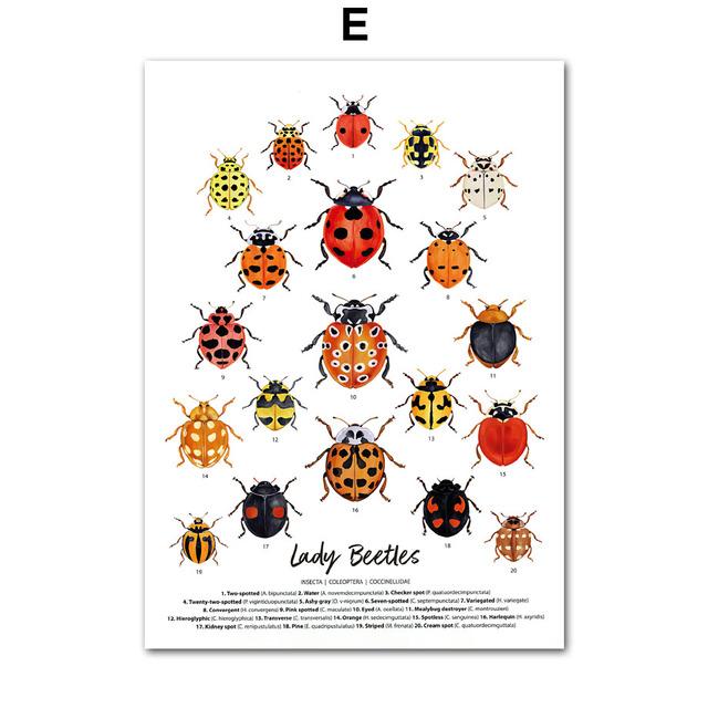 Насекомые, птицы, бабочки, сафари, образовательные плакаты с животными и принты, холст, украшение для детской комнаты, домашние картины, детская комната