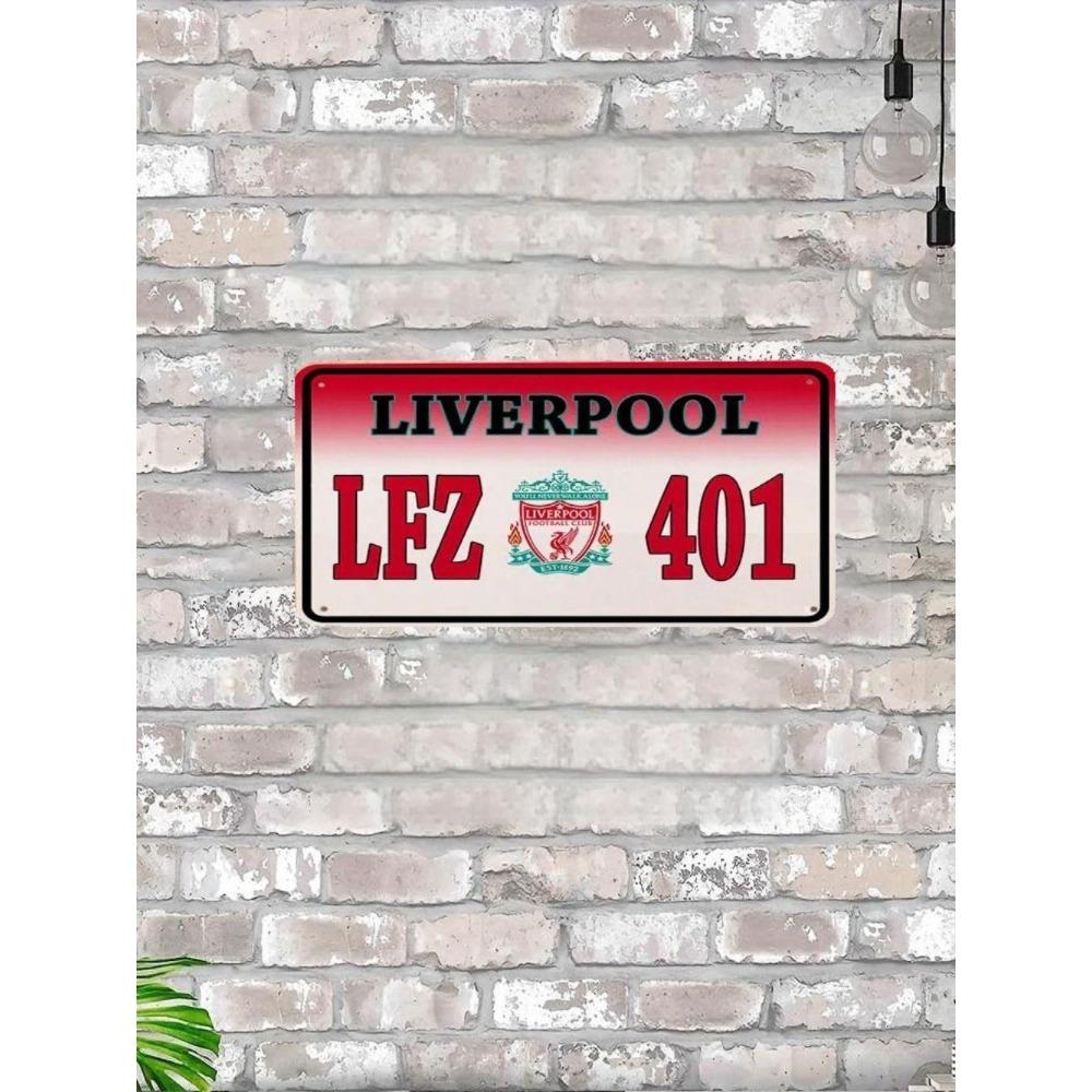 U.S. License Plate, U.S. Car License Plate, Metal, 15x30 Cm.