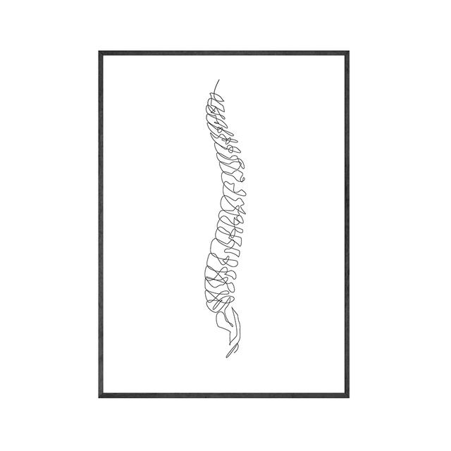 Анатомический скелет, одна линия постеры и принты, анатомический рисунок сердца, иллюстрации, холст, картины для подарка, декор для клиники