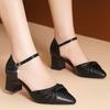 Zapatos De Mujer Lady Fashion Pointed Toe Beige High Quality Spring Buckle Strap Square Heel Shoes Lady Classic Heel Shoes Fa350