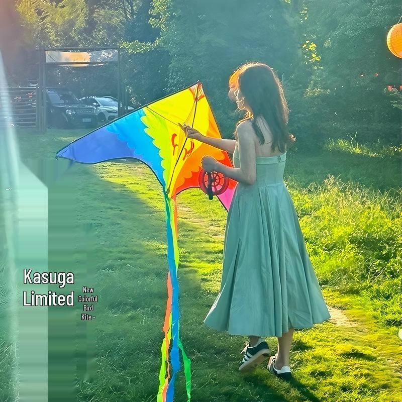 2026 High-End Rainbow Kite for Adults: Easy Flying, Vibrant Colors, Perfect for Light Breeze and Photography