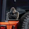 Funny Gorilla Crossed His Hands Car Sticker Waterproof Vinyl Decal on Bumper Rear Window Laptop Self-adhesive Decal For Car Accessories TM241