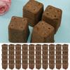 50Pcs Seed Grow Sponges Water Absorbent Hydroponic Pods Kit Replacement Root Garden Plant Plant Nutrients Growing System