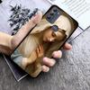 Virgin Mary Phone Case For Moto Edge 60 50 40 Pro 60 50 40 30 Ultra Neo Fusion Moto G Stylus G
