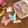 Acetic Acid Acetate Butterfly Hair Claw Elf Large Shark Clip Fashion Butterfly Hair Clip  Female