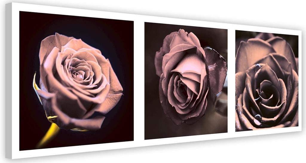 Canvas print, Panorama - roses