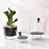 1pcs Transparent Self Watering Plant Pot Self Watering Planter Pot Flowerpot  Indoor Plants