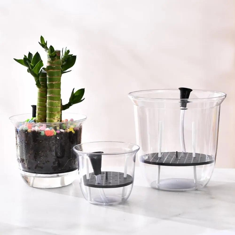 1pcs Transparent Self Watering Plant Pot Self Watering Planter Pot Flowerpot  Indoor Plants