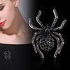 Spider Brooch Shiny Rhinestone Decor Realistic Spider Shape Clothes Collar Decoration Anti-rust Alloy Lightweight Clothes Jewelry Lady Gift
