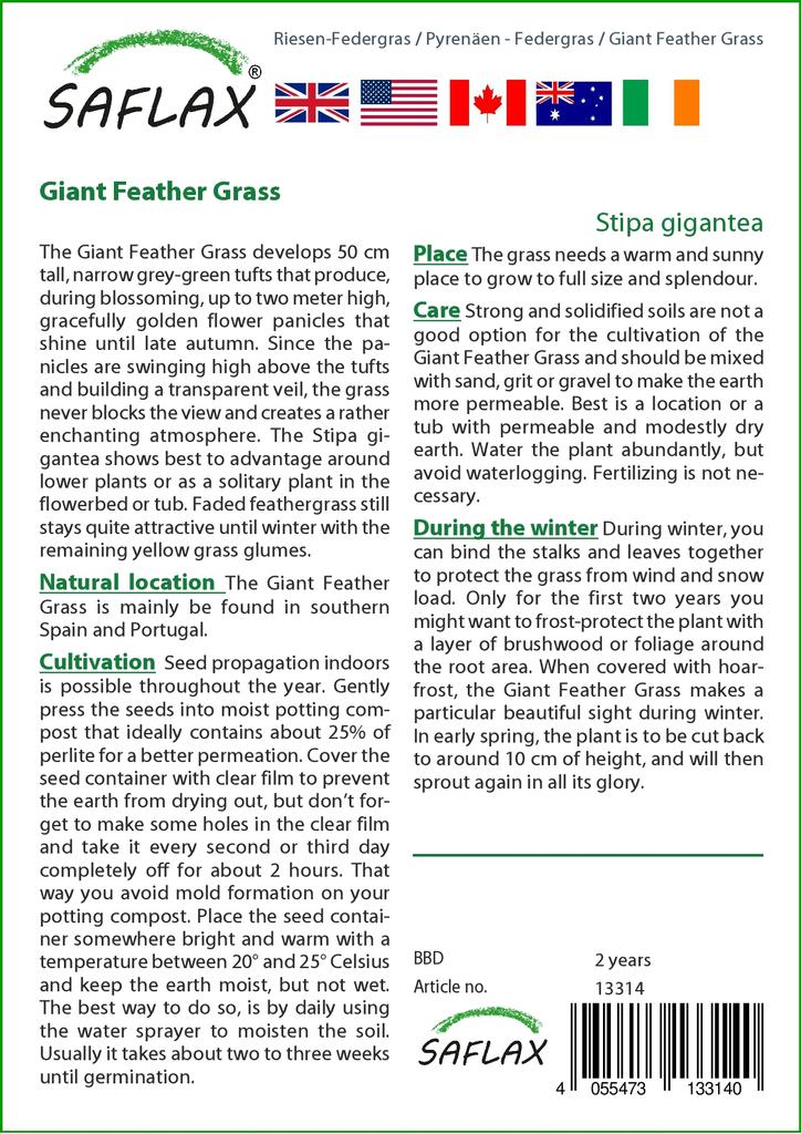 SAFLAX Garden in the Bag - Ковыль гигантский - 10 семян - С субстратом в подходящем пакете - Stipa gigantea