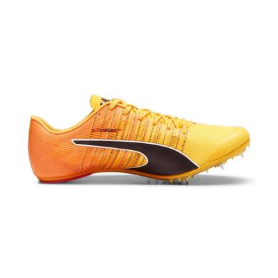 Легкоатлетические шиповки Teamwear Evospeed Future 6