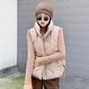 Женское осенне-зимнее пальто с воротником-стойкой, однотонное пальто без рукавов с большим карманом на молнии, свободный теплый хлопковый жилет