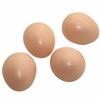 10 Fake Eggs For Hatching Chicks Hatching Breeding