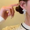 Zircon Stone Bowknot Tassel Earrings Tassel Detail Zircon Earrings For Women  Jewelry Occasion