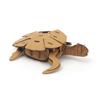 3D Cardboard Turtle Model To Assemble Yourself
