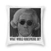 What Would Robespierre Do Square Pillowcase Polyester Linen Velvet Pattern Zip Decorative Bed Cushion Case x