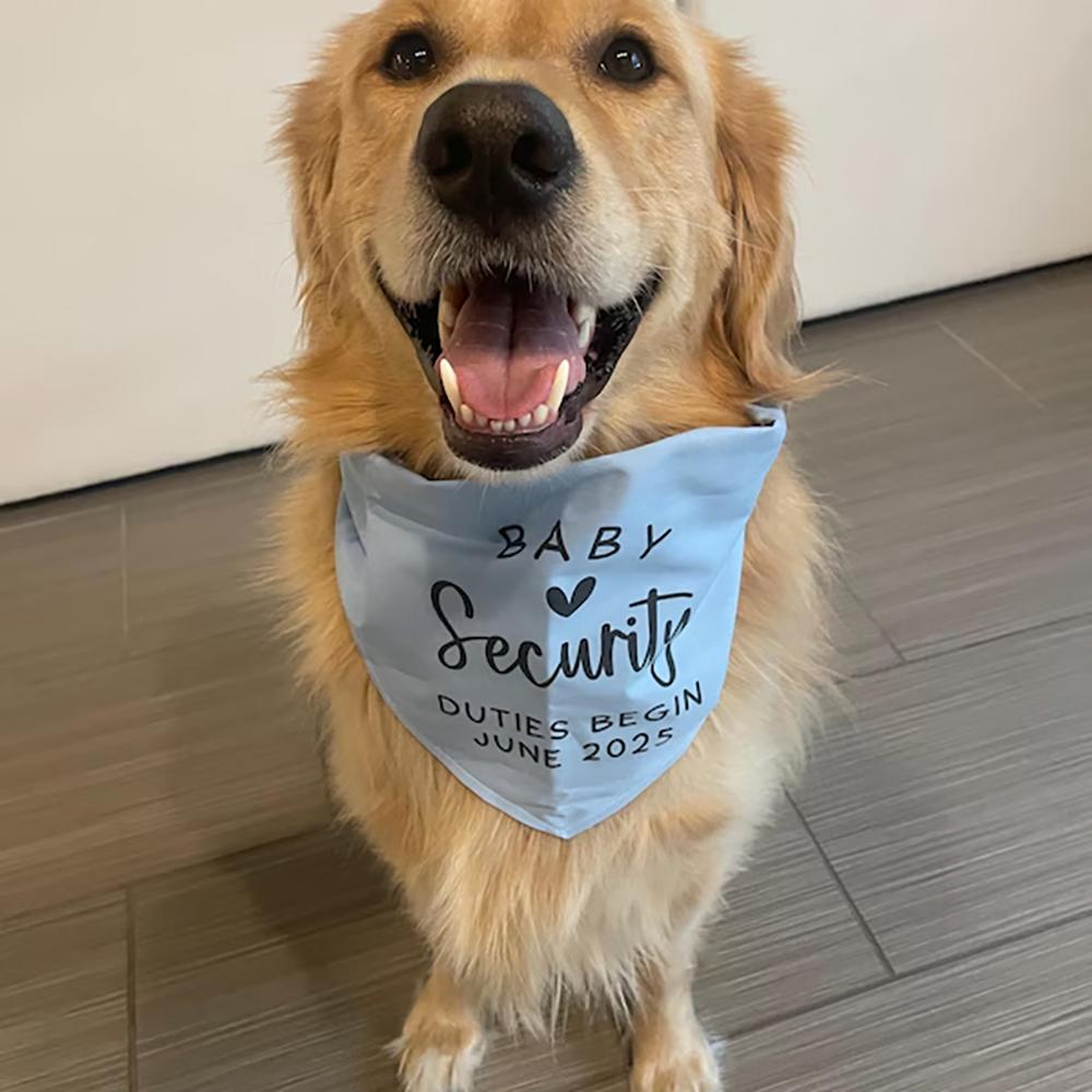 Custom Baby Security in Training Dog Bandana Pregnancy Announcement Dog Bandana Mom's Pregnant Dog Bandana Baby Shower Gift