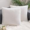 Home Decoration Edge Velvet Waist Pillow Cushion Cover Super Soft Plush Hotel Sofa Pillow Cover