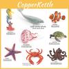 Морская Биология ПВХ Модели Морских Черепах Морских Коньков и Морских Звезд Для Образовательной Выставки