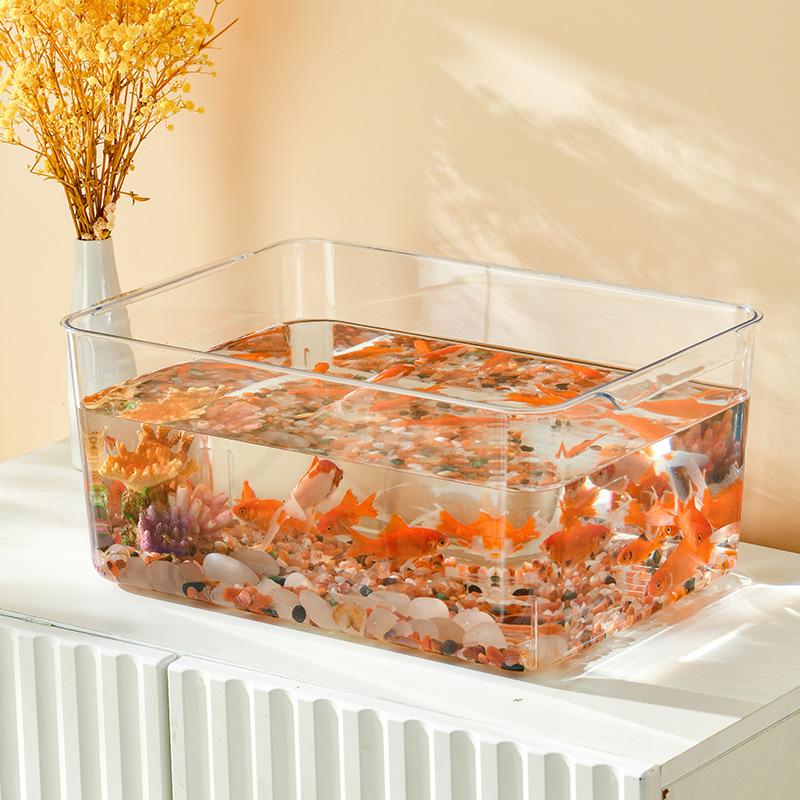 Clear Plastic Fish Tank for Desktop Landscaping - Turtle, Goldfish, Micro Ecosystem Aquarium