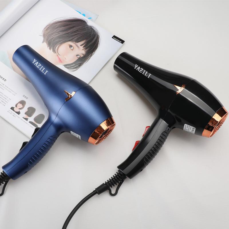 Professional Salon Hair Dryer With Powerful Brushless Motor Blue Light And Heat/cold Settings