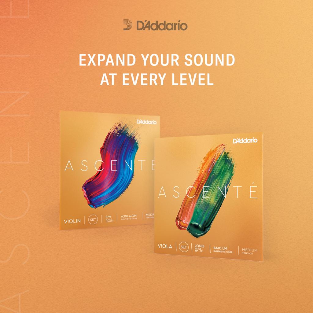 D'Addario Струны для скрипки Ascente A310 4/4m Среднее натяжение [Официальный японский продукт]
