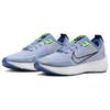 Nike Interact Run Ashen Slate - FD2291-401