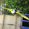 Retractable Funny Cat Teasering Simulation Bird Toy Interactive Cat Toys Flying Bird Electric