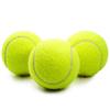Practice Tennis Ball Beach Pet Toy Sports Outdoor Fun Tennis Dog Chew Toy