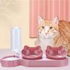 Pet Dog Cat Food Bowl Automatic Feeder 2 In 1 Eating Drinking Water Container Anti Slip Double Feeding Bowl for Cats Puppy