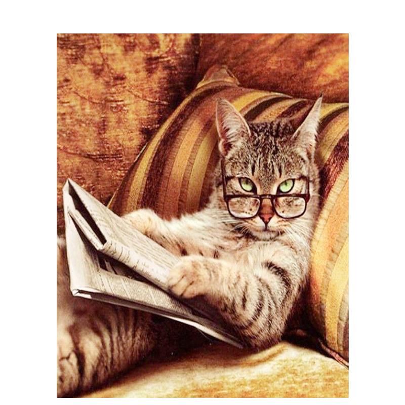 5D Diy Алмазная вышивка животное полная круглая алмазная живопись кошка Алмазная мозаика вышивка крестом подарок ручной работы