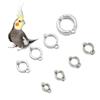 Activity Clip for Pigeon Bird Leash Accessories Bird Supplies Bird Leg Rings Parrot Foot Rings