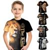 Funny Squirrel Kids 3D T-shirt Print Short Sleeve Summer Tops Tees Футболка для мальчиков и девочек