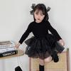 2025 New Autumn Princess Dress for Girls: Stylish Early Autumn Wear for Baby Girls