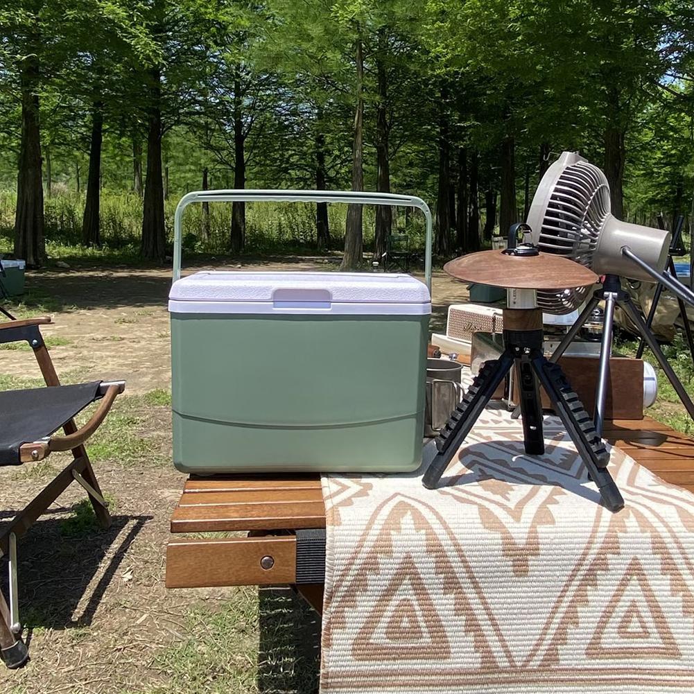 3л портативный охладитель для барбекю, термоизоляционный ящик для пикника в автомобиле, ящик для хранения продуктов питания для пикника на пляже, кемпинга, катания на лодке, рыбалки