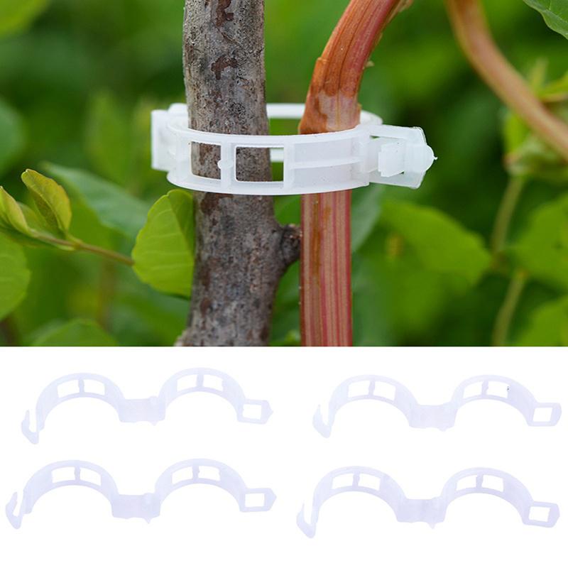  100pcs Plastic Garden Plant Flowers Tied Bundle Branch Clamp Clip Class Tools Fixing Accessories
