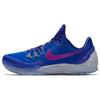 Zoom Kobe Venomenon 5 EP Vivid Purple Мужские кроссовки Синие Deep-Royal-Blue Wolf-Grey 815757-454
