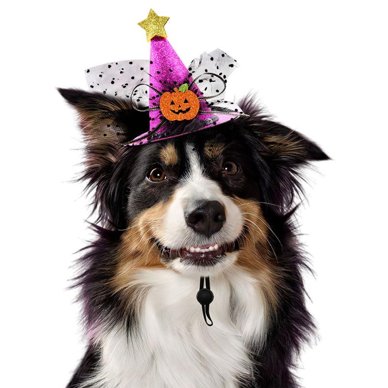 2 шт. стильная кепка для домашних собак, кошек, регулируемая шапка с узором тыквы для маленьких собак, домашних животных, аксессуары для ухода за собаками, поставщик домашних собак