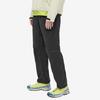 Arc'teryx Metric Insulated System_A Брюки 29028
