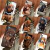 Чехол для телефона с таксой для Samsung Galaxy S21 S22 S23 S24 S25 S26 Ultra S10 Plus S25 FE S20 FE Задняя крышка