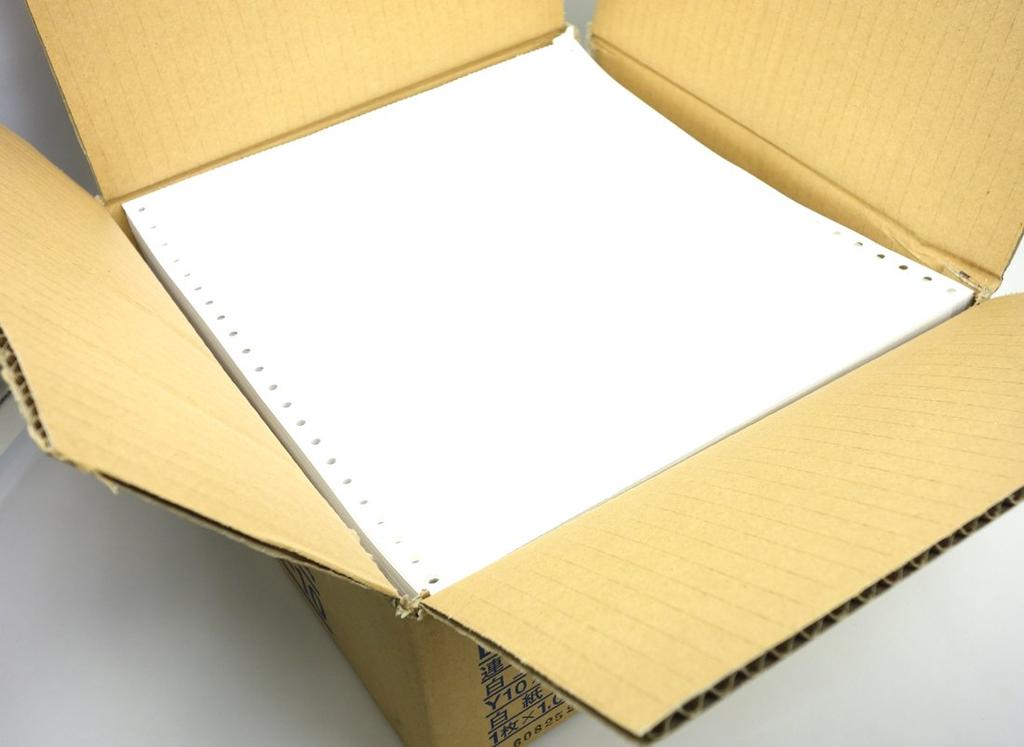 KOKUYO Continuous Slip Paper Blank 10X11 1000 Sheets EC-316-10