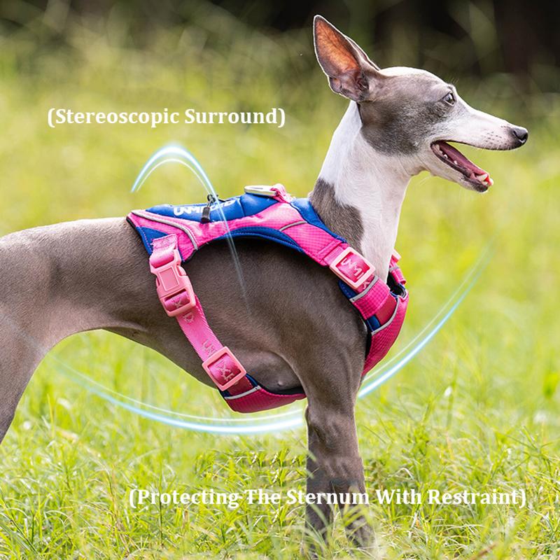 Adjustable Pet Dog Nylon Harness With Reflective Strape Dog Harness Durable Chest Strap Vest for Medium Large Dogs Bulldog
