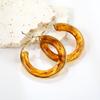 Fashion Vintage Round Amber Resin Hoop Earrings For Women Stainless Steel Gold Color Circle Big Daily Zircon Female Earrings