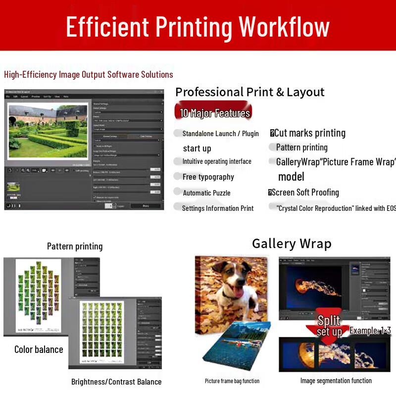 Canon PRO Series Large Format Color Inkjet Printer CN plug (adapter included)