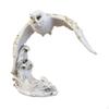 Elegant Owl Figurine Home Decor Accent Piece