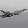 Плавающая приманка для крокодила Экологически чистый пруд Плавающая поддельная приманка для крокодила Реалистичная статуя крокодила в бассейне Нетоксичная декоративная скульптура крокодила